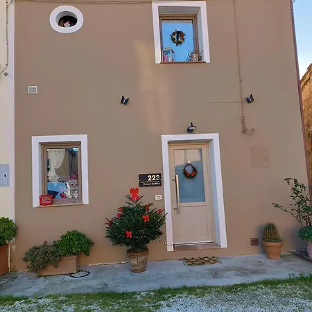 Bed & Breakfast House Delfina Pisa